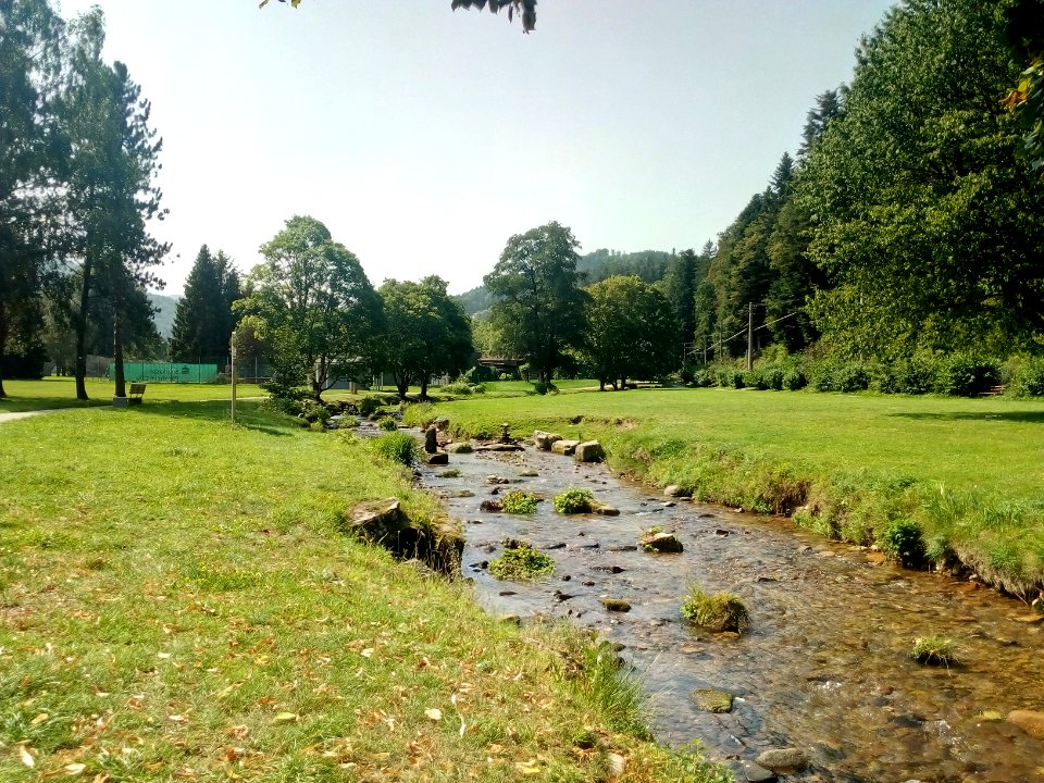 Alb, Bad Herrenalb, Kurpark (4)
