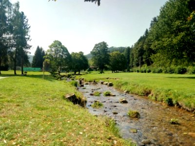 Alb, Bad Herrenalb, Kurpark (4)