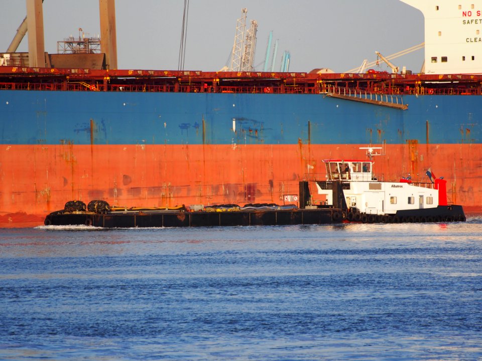 Albatros - ENI 02316862, Calandkanaal, Port of Rotterdam, pic1