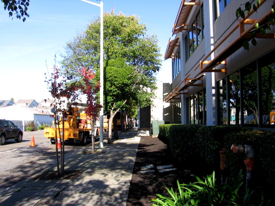Alameda Municipal Power 3606 04
