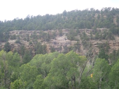 Alamitos Formation reference section photo