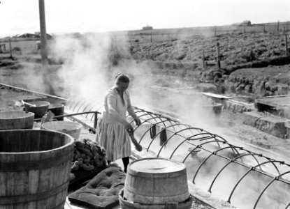 Alafoss, wolfabriek Vrouw hangt gewassen knotten wol in de stoom van een geiser, Bestanddeelnr 190-0319