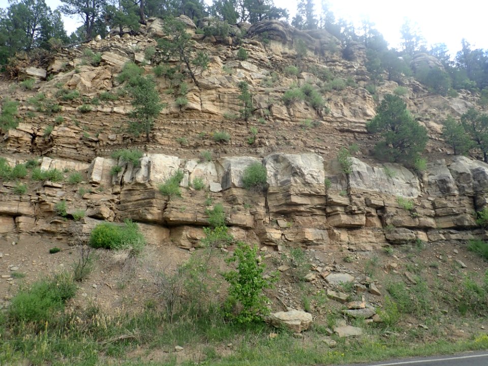 Alamitos Formation