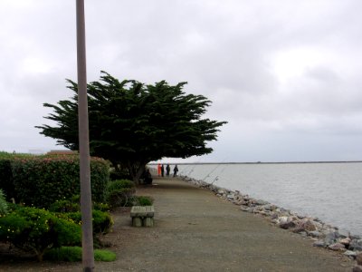 Alameda Harbor Bay Terminal 3450 11