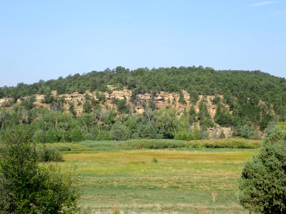 Alamitos Formation refefence section