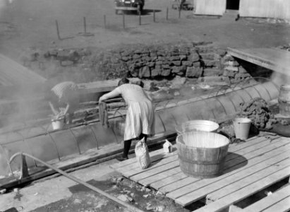 Alafoss, wolfabriek Vrouw hangt gewassen knotten wol in de stoom van een geiser, Bestanddeelnr 190-0321
