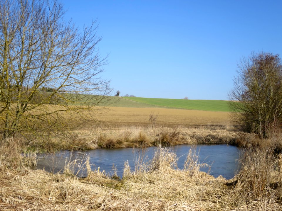Albersbach Weiher