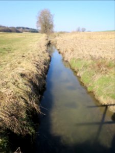 Albersbach Eichhofener Bach