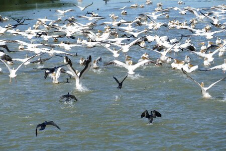 South east europe delta water
