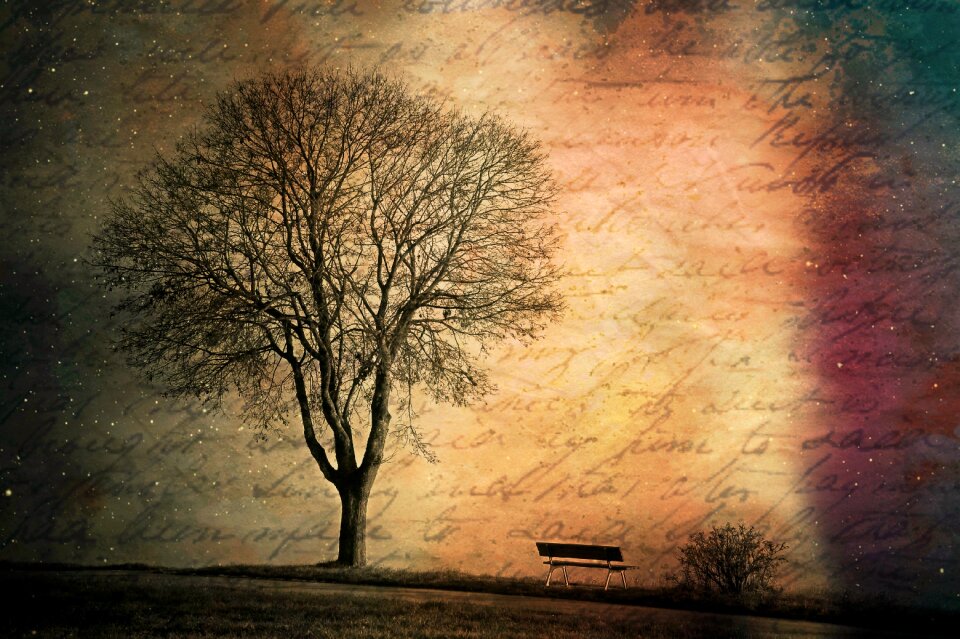 Bare tree font handwriting