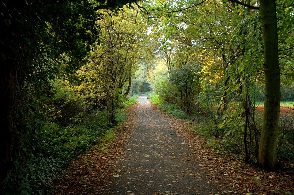 Alban-Way-20051016-003