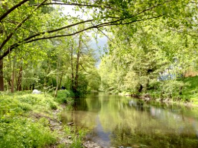 Alb, Lutherisch Wäldele