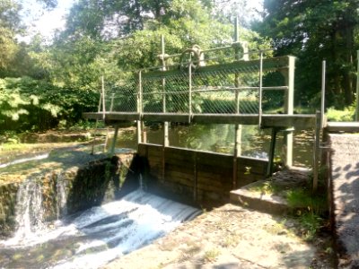 Alb, Wehr Abzweig Triebwerkskanal Fischweier (2)