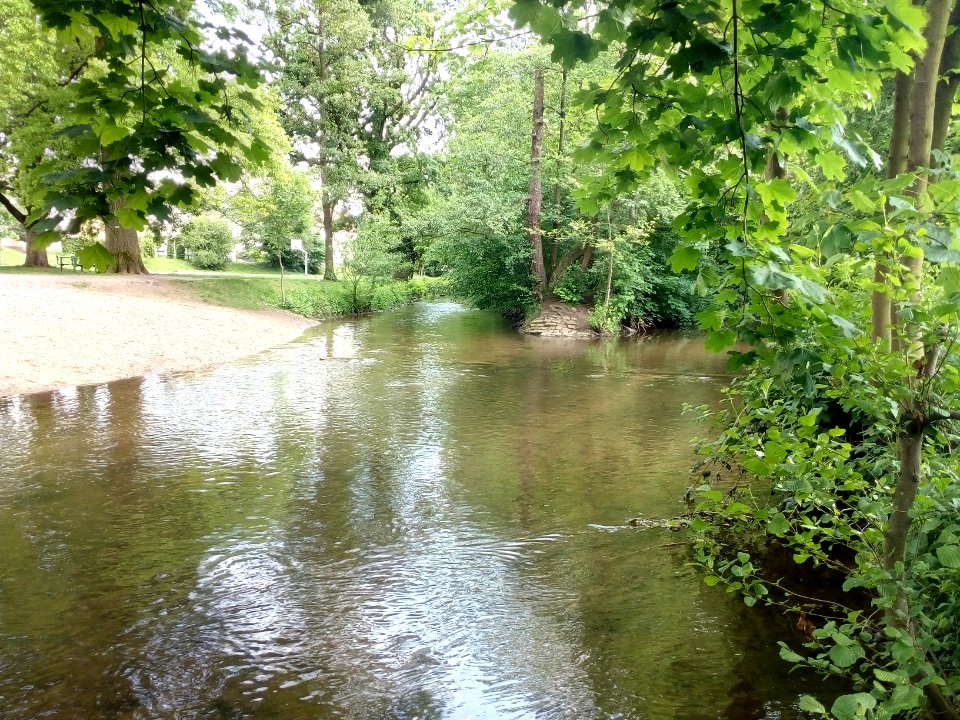 Alb, Mündung Reiherbach