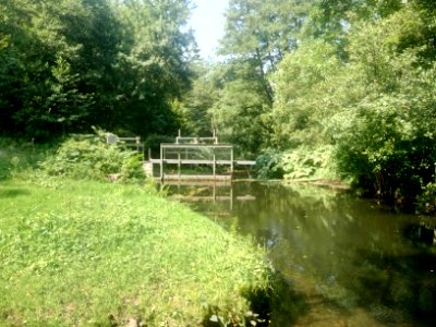 Alb, Wehr Abzweig Triebwerkskanal Fischweier (4)