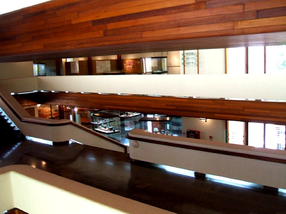 Albacete - Museo Provincial 1