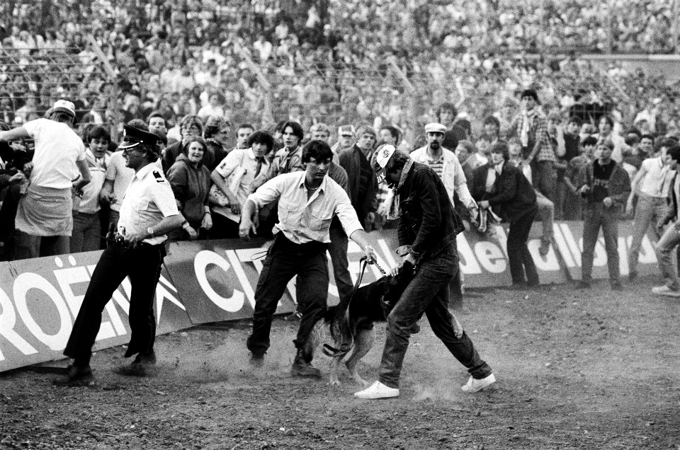 Ajax-AZ '67 3-2, Ajax kampioen Ajaxsupporter op veld wordt gebeten door politie, Bestanddeelnr 932-1617