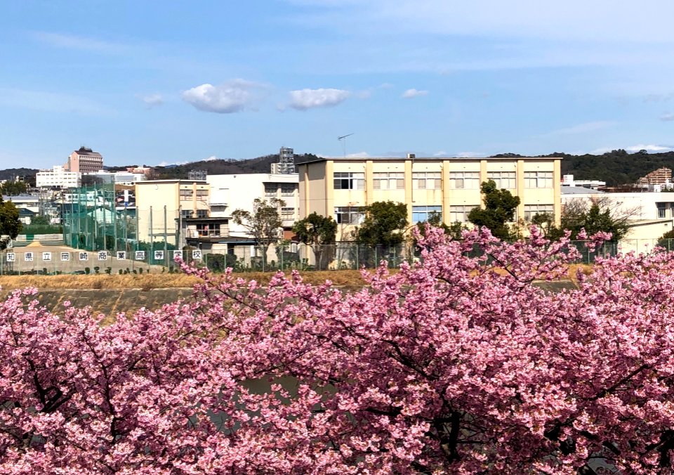 Aichi-Prefectural-Okazaki-Commercial-High-School-6
