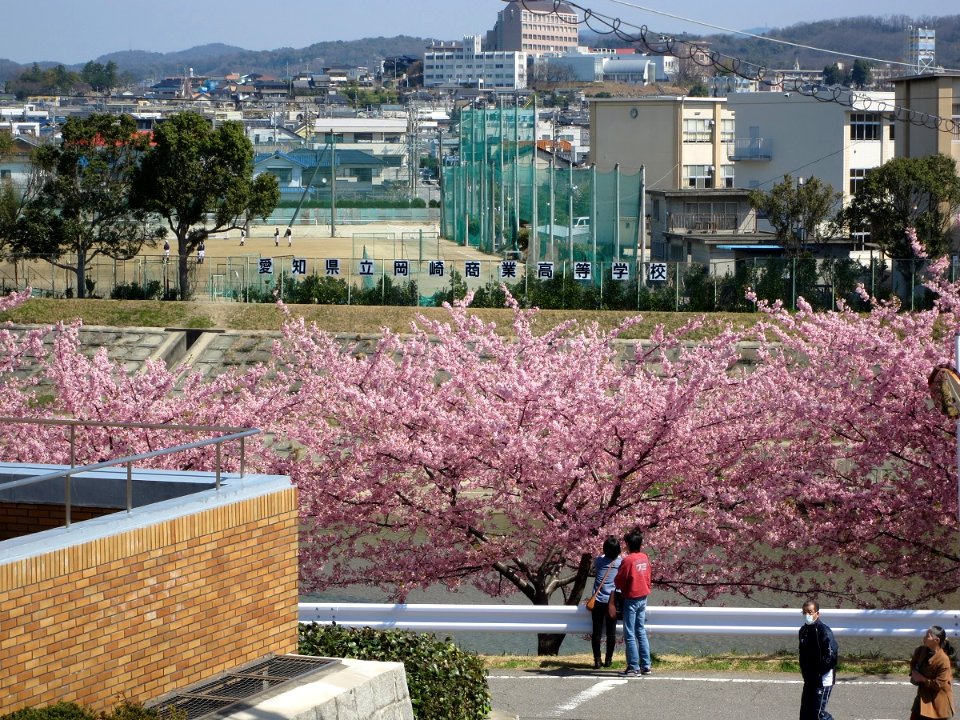 Aichi-Prefectural-Okazaki-Commercial-High-School-1