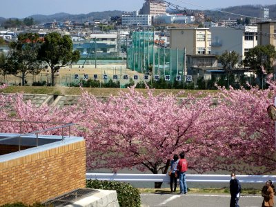 Aichi-Prefectural-Okazaki-Commercial-High-School-1 photo