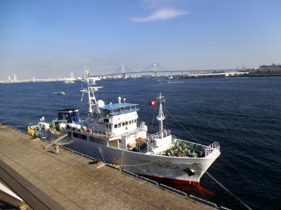 Aichimaru a fishery training vessel of Aichi Prefectual Miya Fisheries high school in port of Yokohama