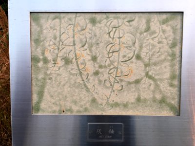 Aichi Prefectural Ceramic Museum (138)