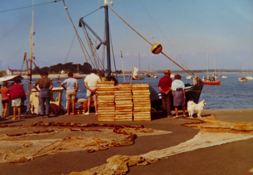 AIMG 5199 Fischernetze und Spitz 1970er