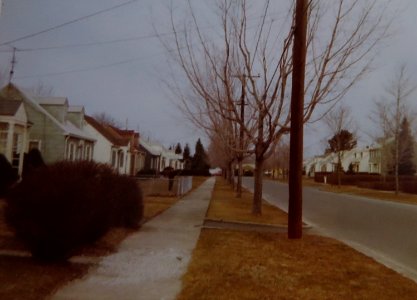 AIMG 5219 Straße in Springfield 1972