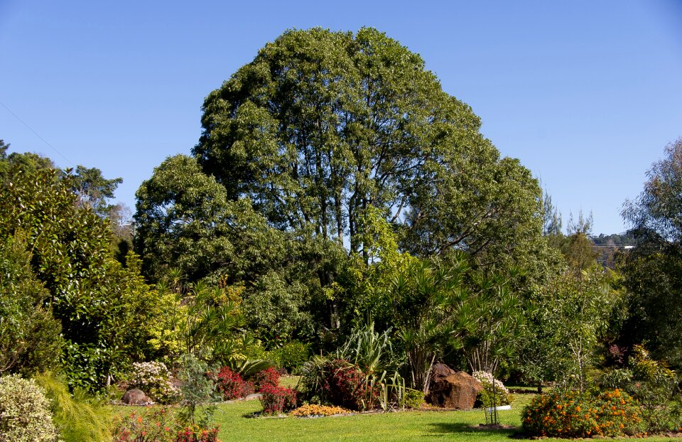 Green blue sky sunshine