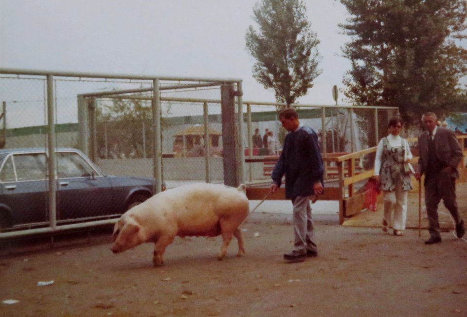 AIMG 5418 Landwirtschaftliches Hauptfest 1971