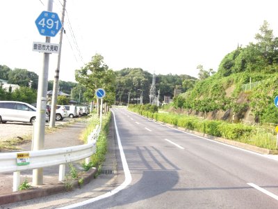 Aichi Pref r-491 Omi