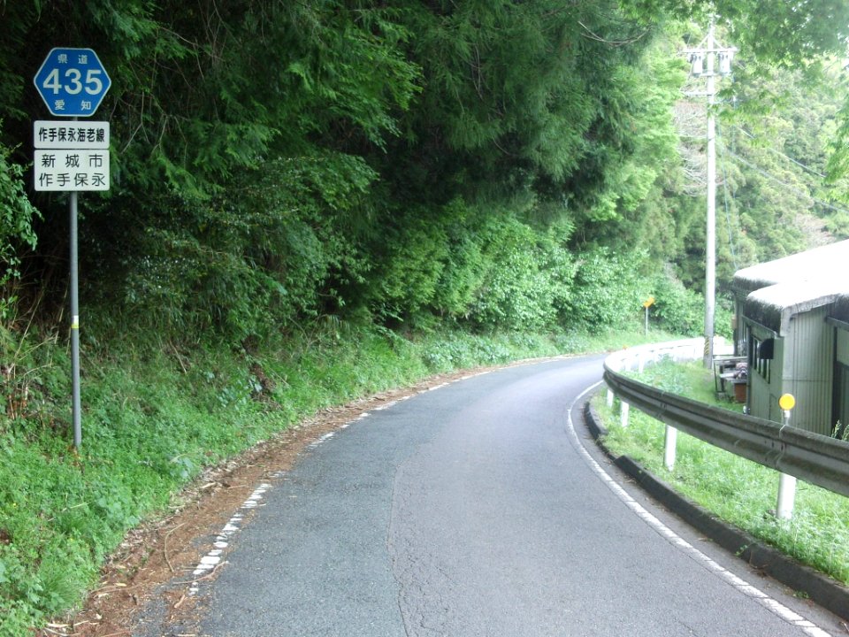 Aichi Pref r-435 TsukudeYasunaga