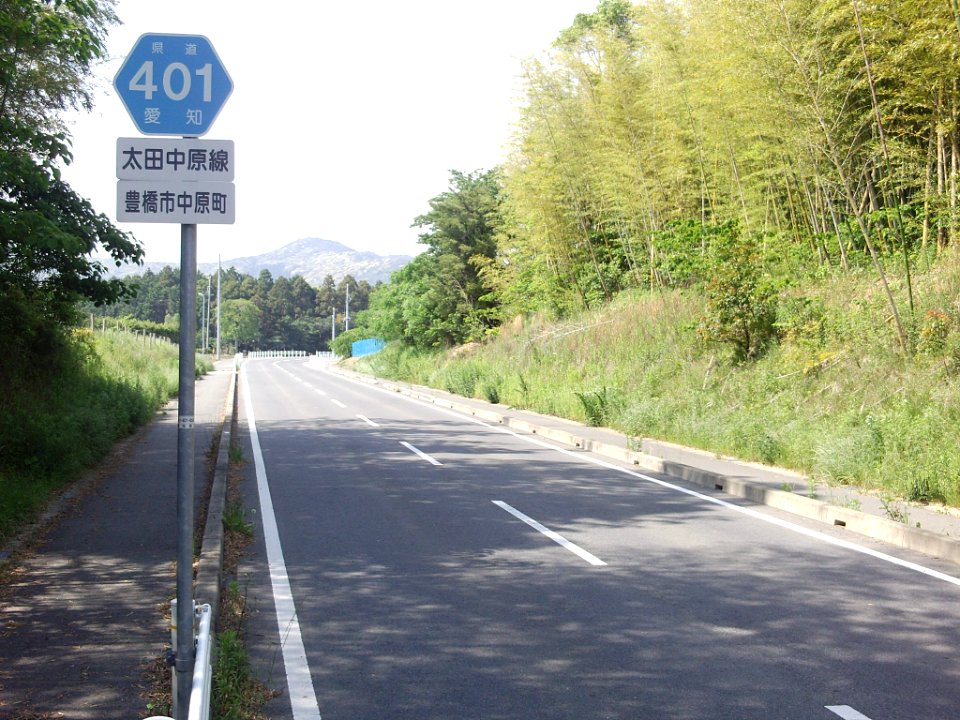 Aichi Pref r-401 Nakahara