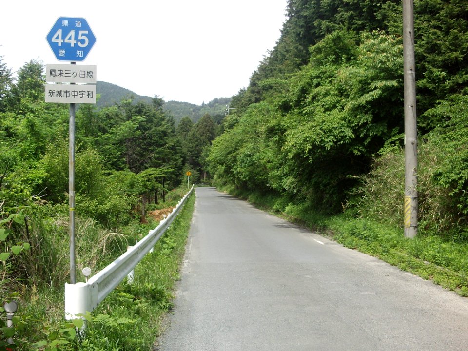 Aichi Pref r-445 Nakauri