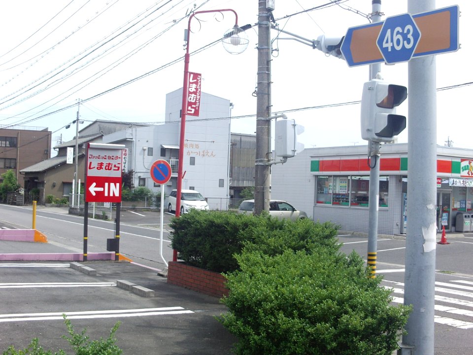 Aichi Pref r-463 Ending Point