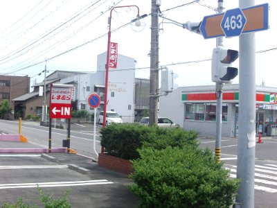 Aichi Pref r-463 Ending Point