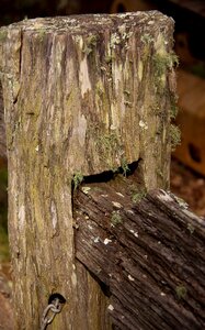 Wooden joint detail photo