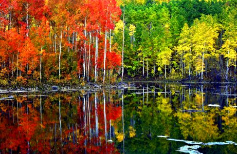 Landscape reflection water photo