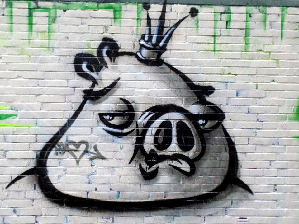 Pig sprayer wall painting