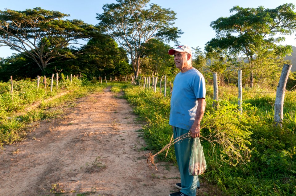 Agricultor de Chaguaramal, Estado Miranda, Venezuela