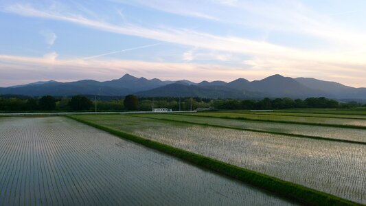 Countryside yamada's rice fields Free photos photo