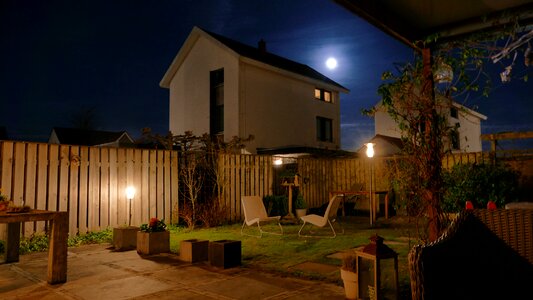 Moon garden brown moon