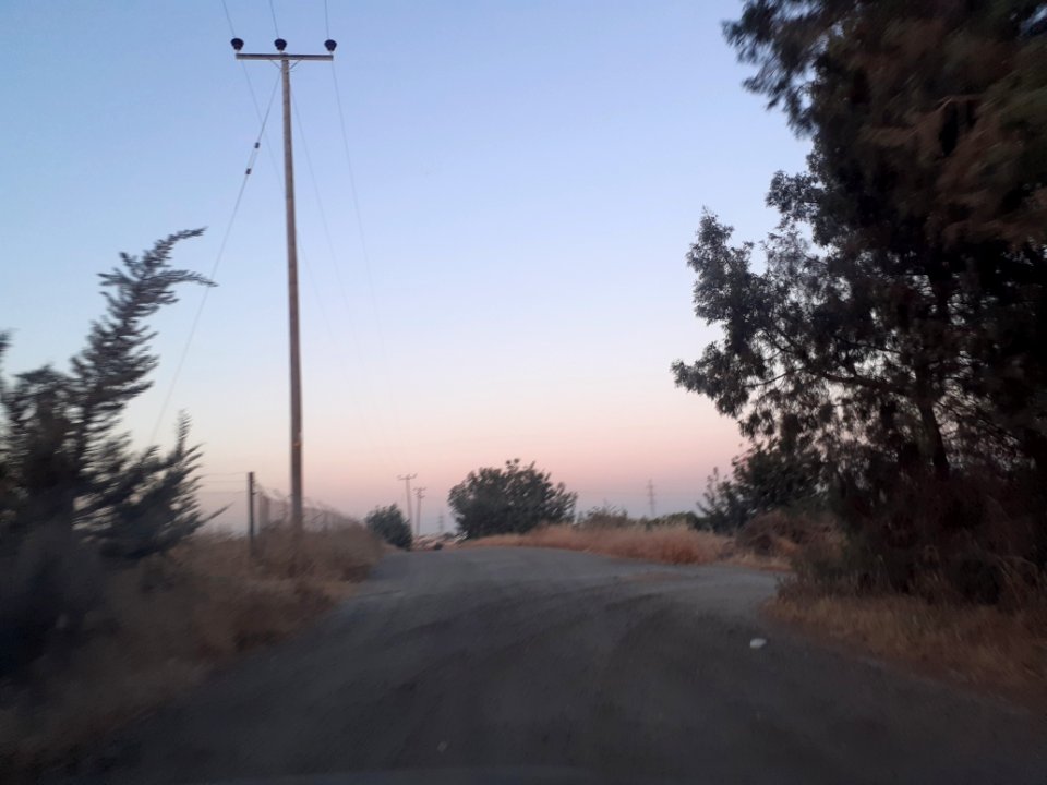 Agriculture in Ypsonas village Limassol Cyprus at sunset 9