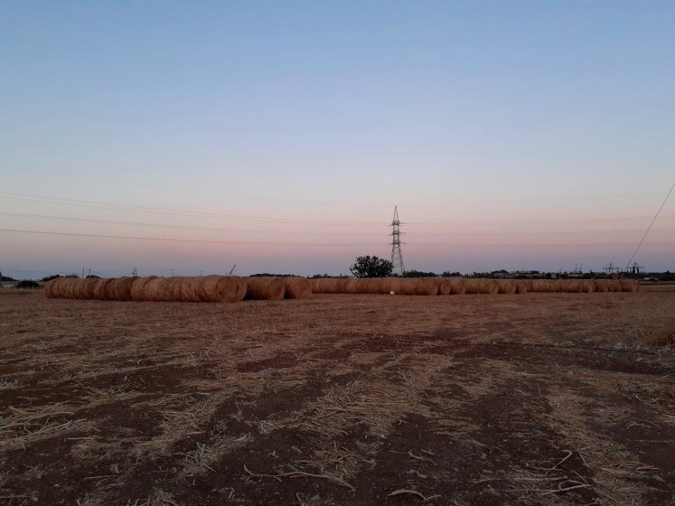 Agriculture in Ypsonas village Limassol Cyprus at sunset 12
