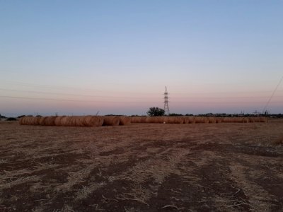 Agriculture in Ypsonas village Limassol Cyprus at sunset 12