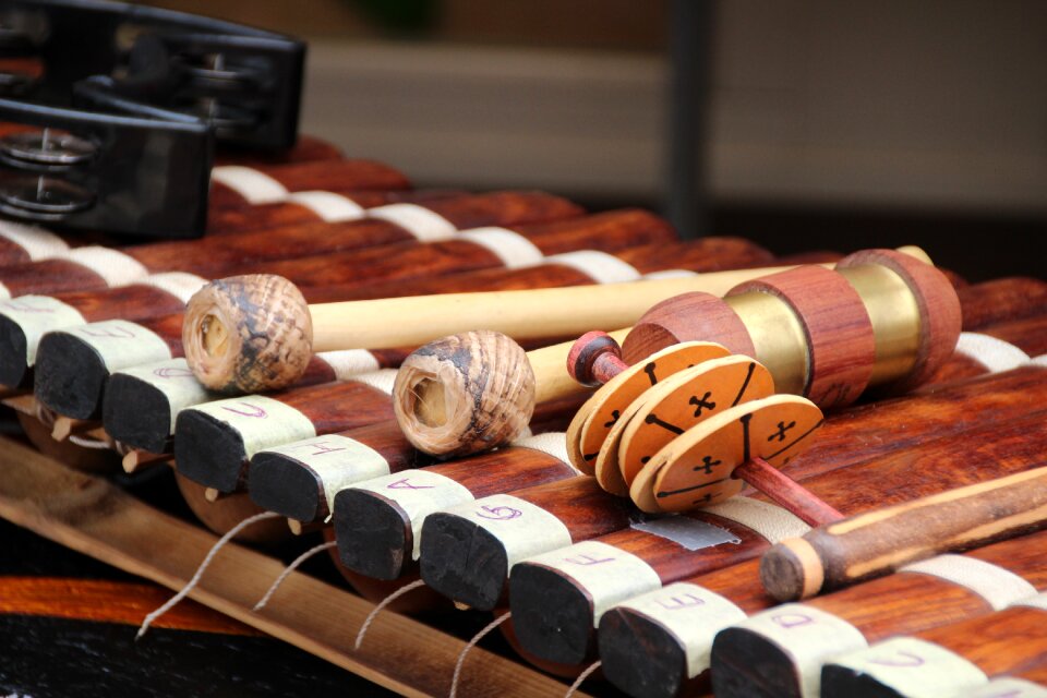 Drums wood instrument instrument