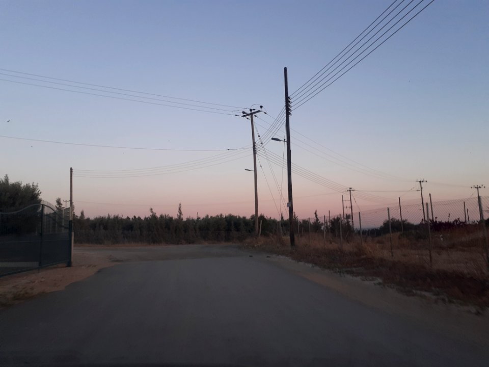 Agriculture in Ypsonas village Limassol Cyprus at sunset 5