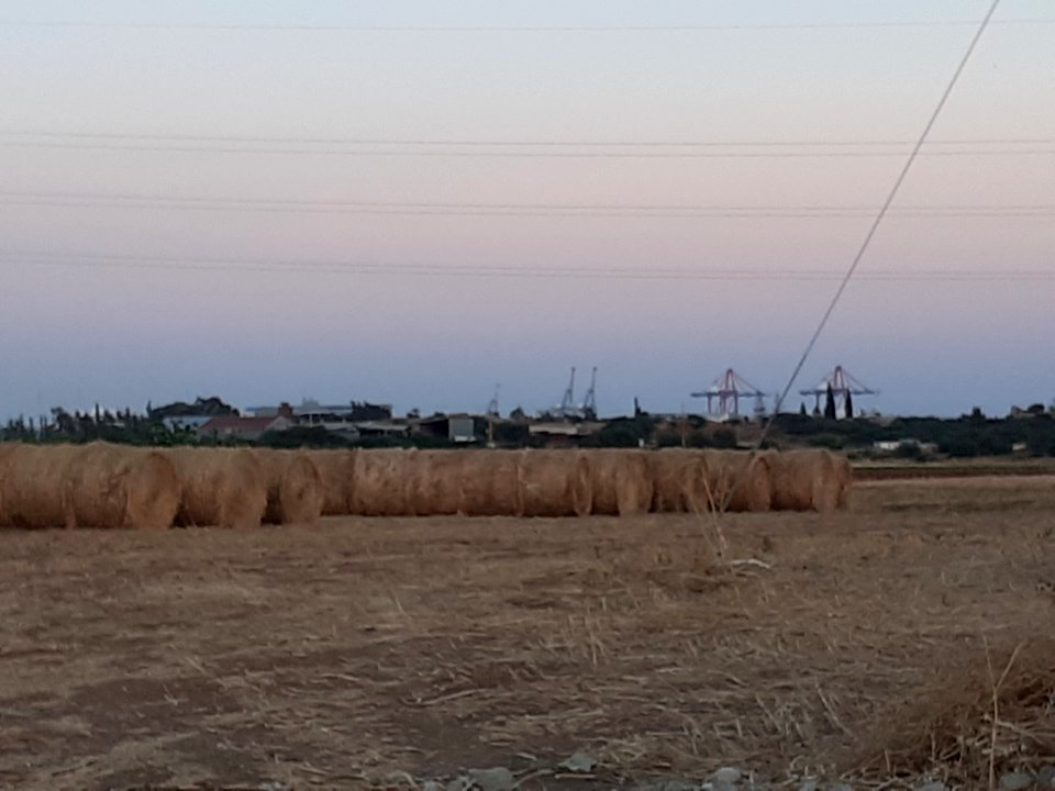 Agriculture in Ypsonas village Limassol Cyprus at sunset 14