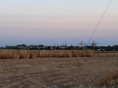 Agriculture in Ypsonas village Limassol Cyprus at sunset 14