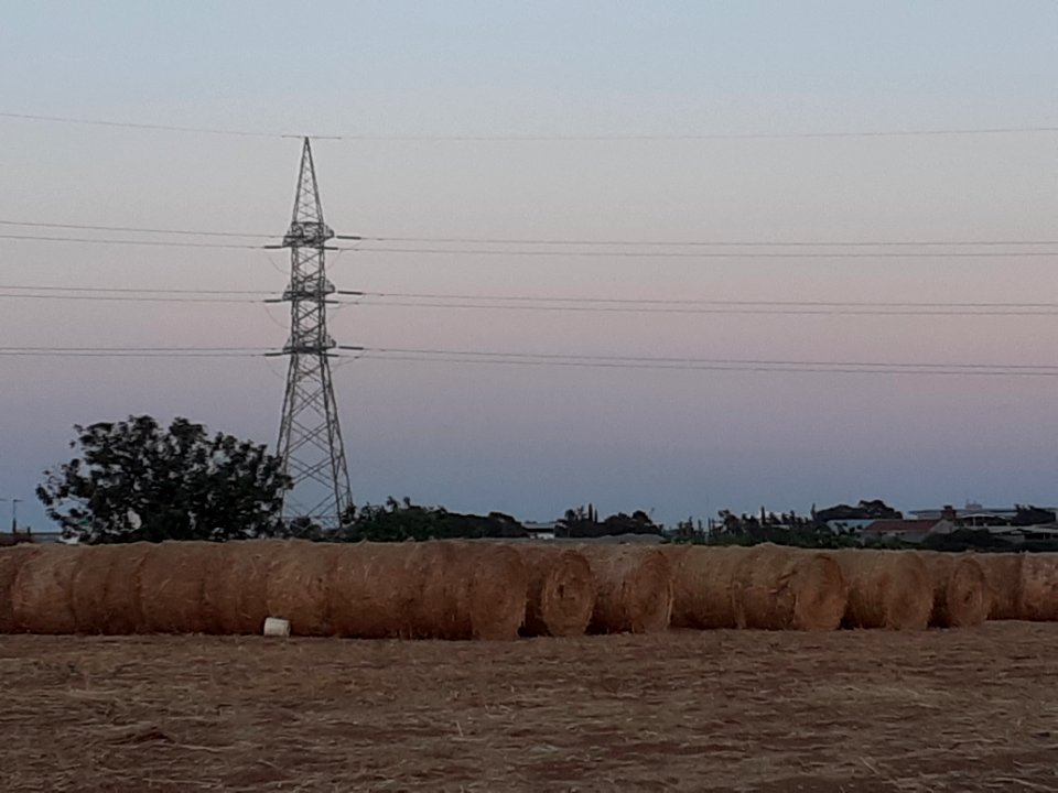 Agriculture in Ypsonas village Limassol Cyprus at sunset 15